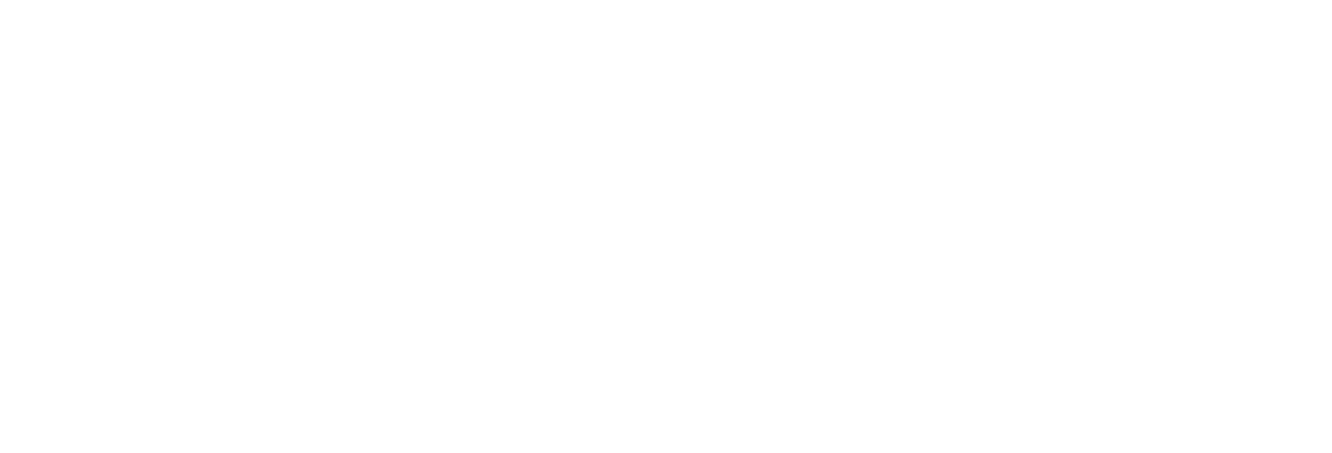 WordPress-logotype-standard-white (1)
